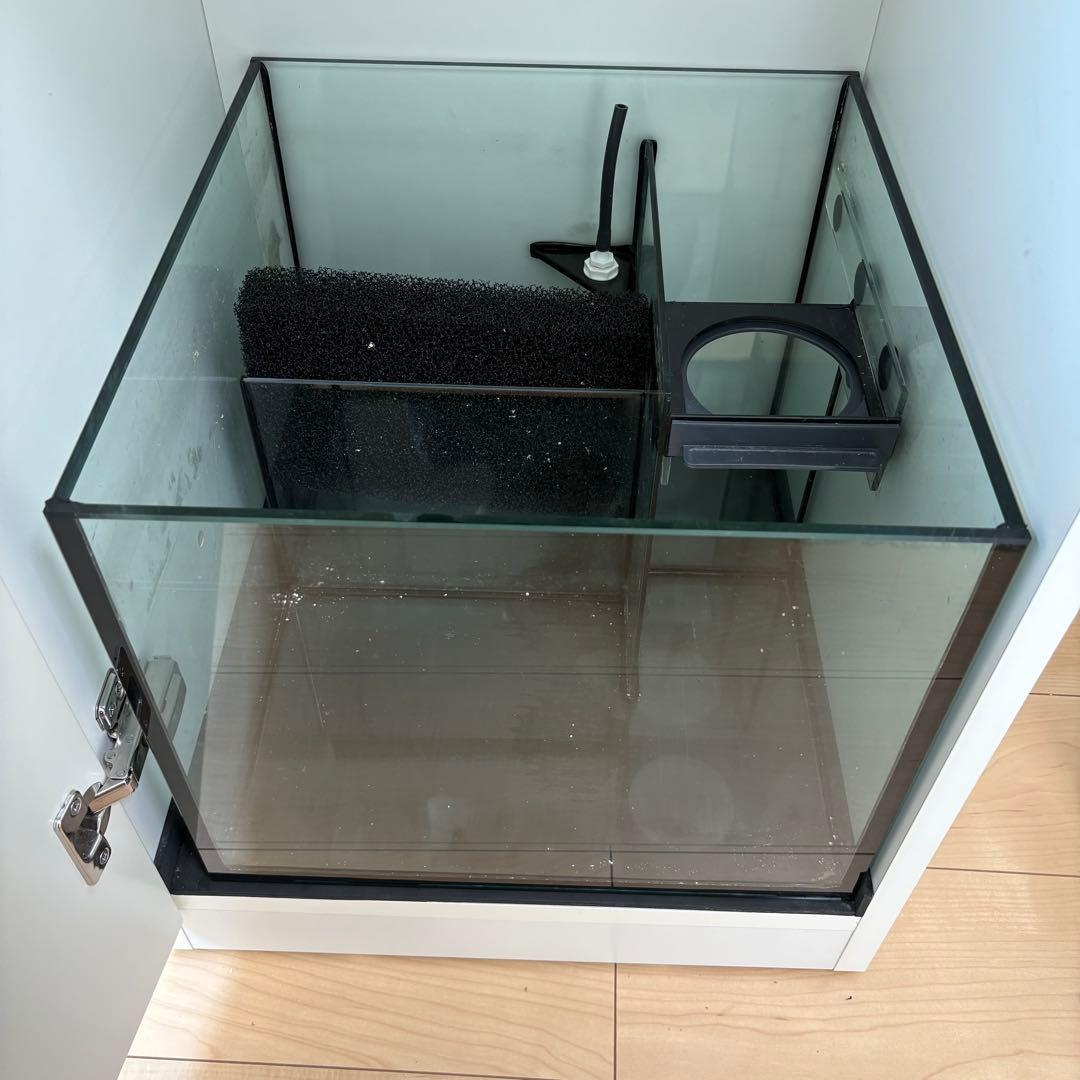 Bob(^^) レッドシー リーファーナノ