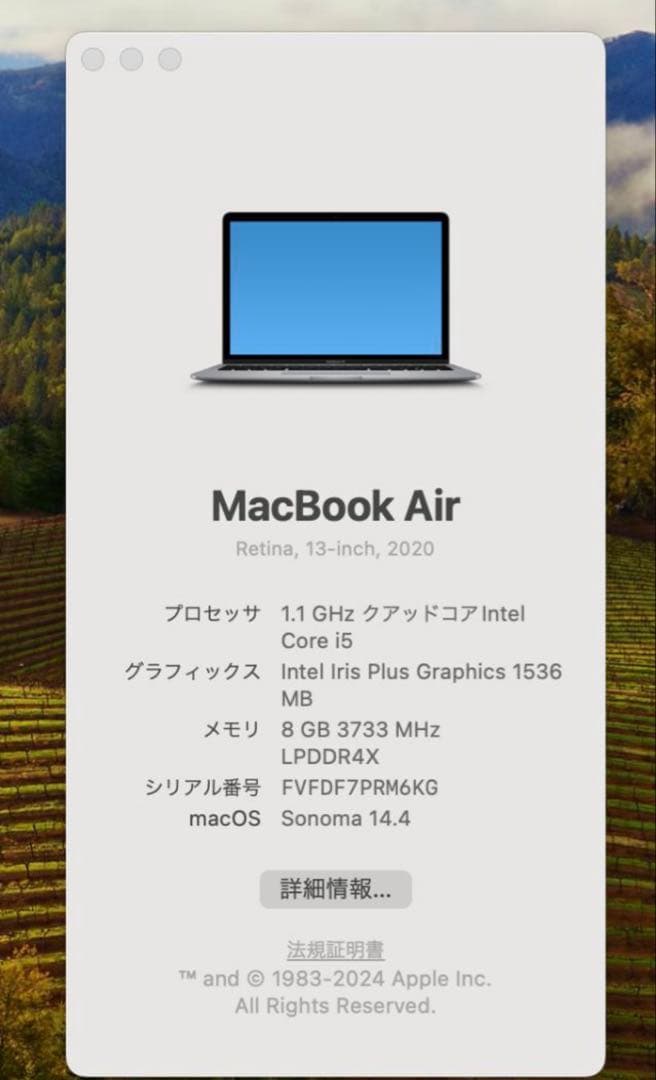 Apple MacBook Air 13インチ 2020年モデル