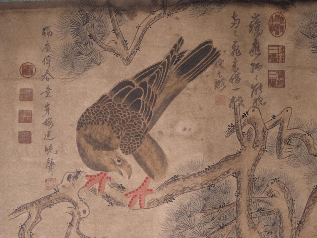 【骨董掛け軸】花鳥図 中国顾闵中　肉筆掛け軸　 唐物唐本　AK610A12-2