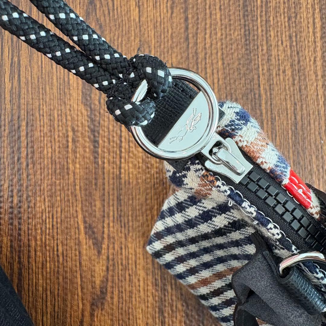 Longchamp ハンドバッグ　ショルダーバッグ　千鳥格子　マルチカラー　XS