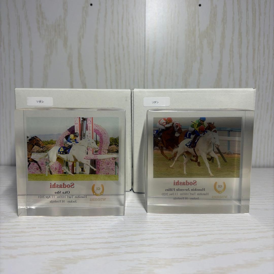 ソダシ アクリルオブジェ 桜花賞 阪神ジェべナイルフィリーズ