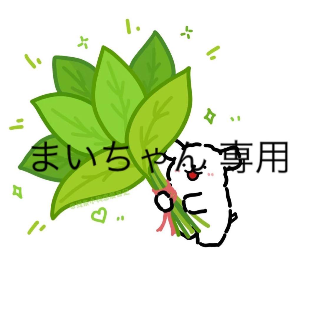 まいちゃん 専用