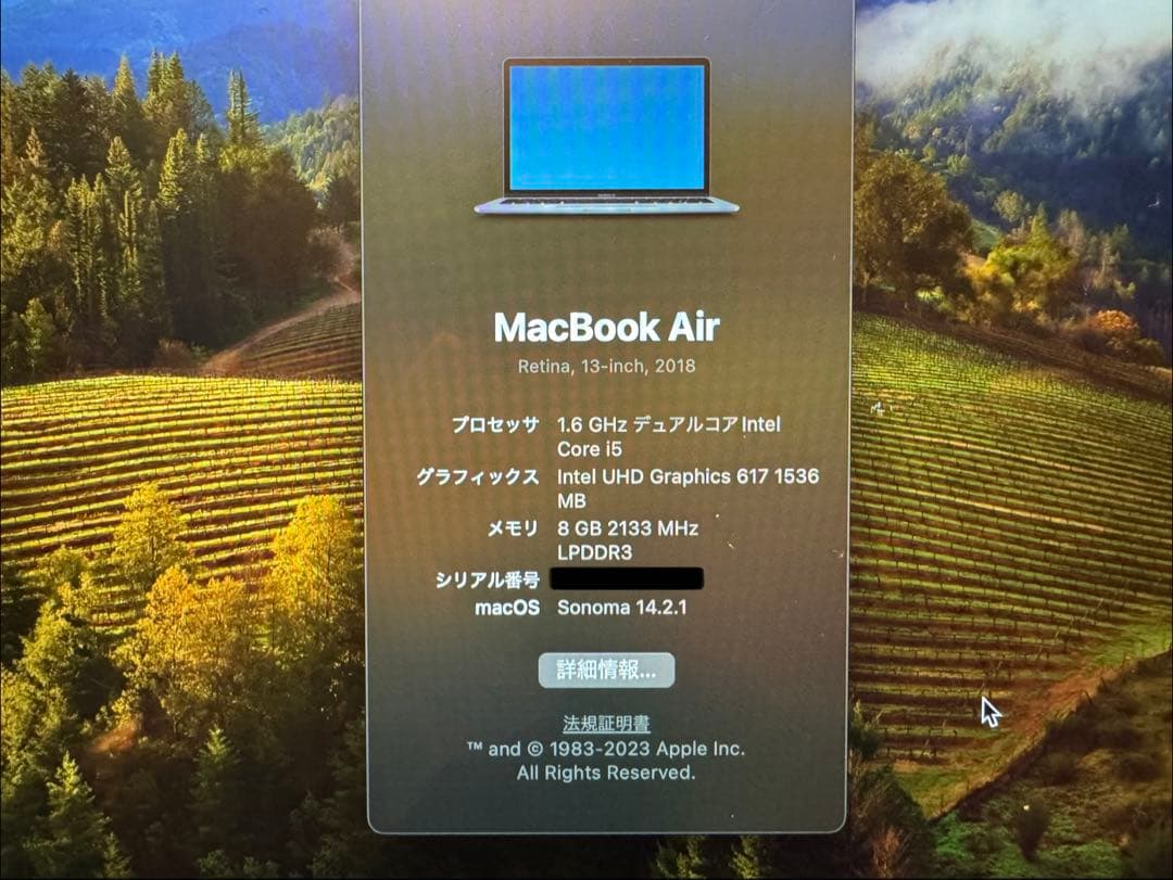 MacBook Air Retina 13インチ 2018 US配列 オマケあり