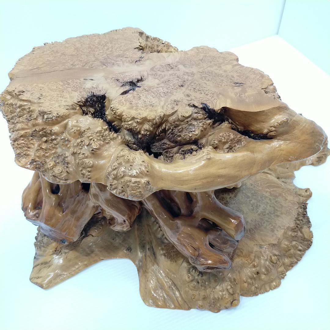 木の根 飾り台 W56cm 高級 花台 豪華 2段 盆栽卓 根卓 飾台 盆栽