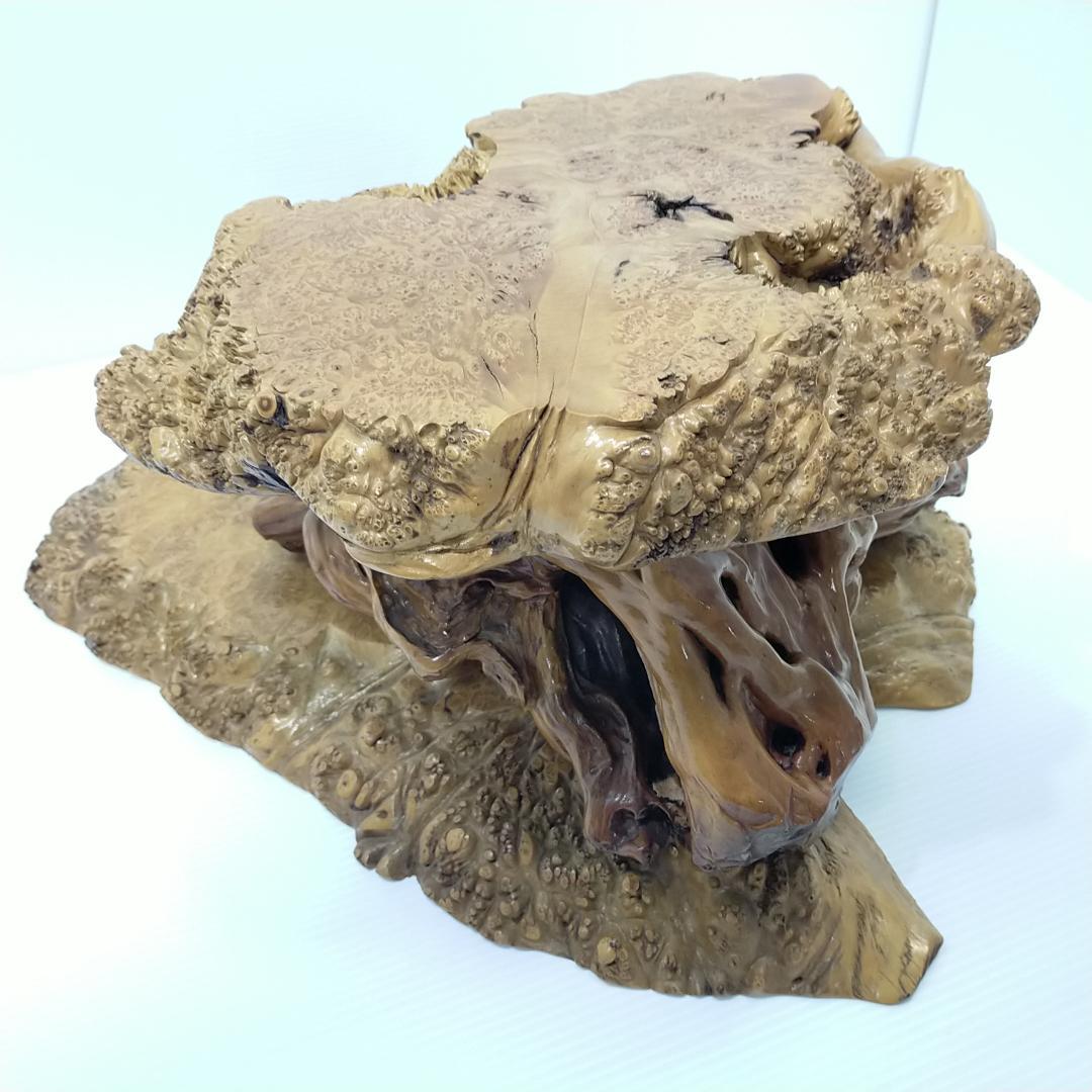 木の根 飾り台 W56cm 高級 花台 豪華 2段 盆栽卓 根卓 飾台 盆栽