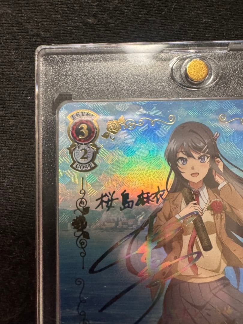 ヴァイスシュヴァルツ　青春ブタ野郎シリーズ　君と過ごした1年間　桜島麻衣　ABR