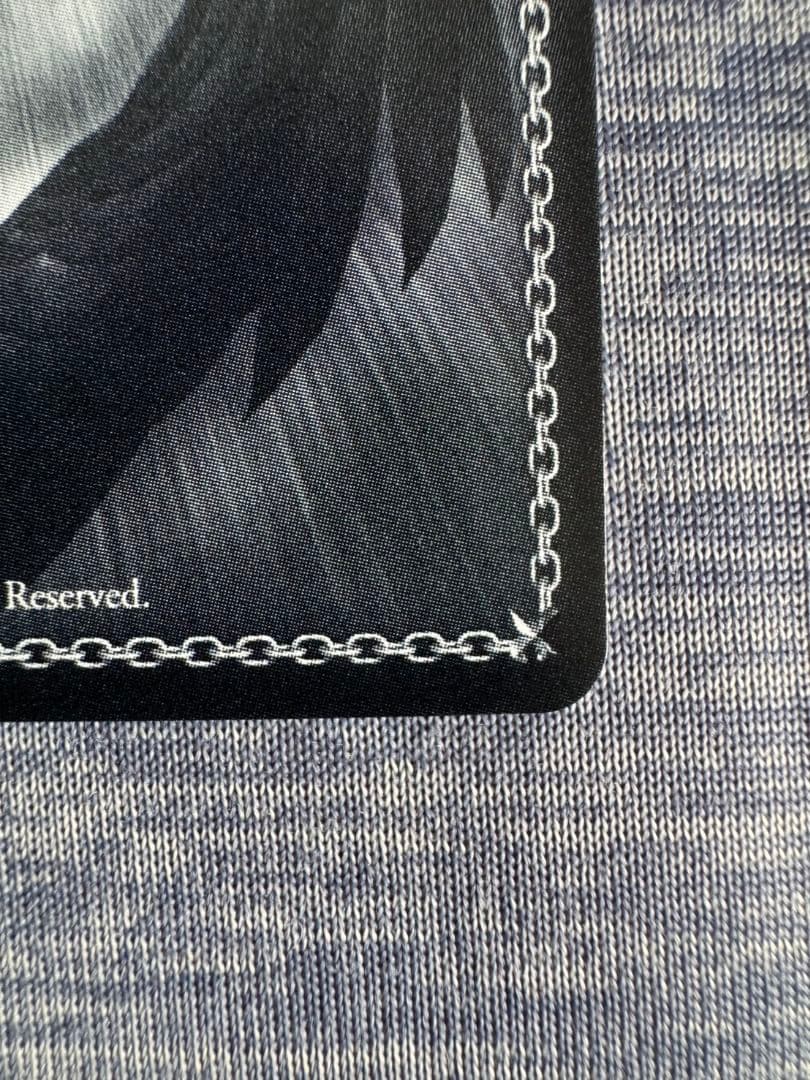 ヴァイスシュヴァルツ　青春ブタ野郎シリーズ　君と過ごした1年間　桜島麻衣　ABR