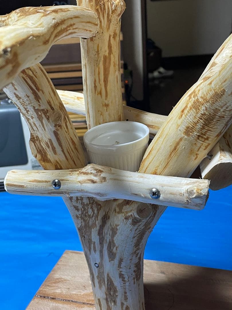 天然木製 鳥用止まり木 高さ約65cm