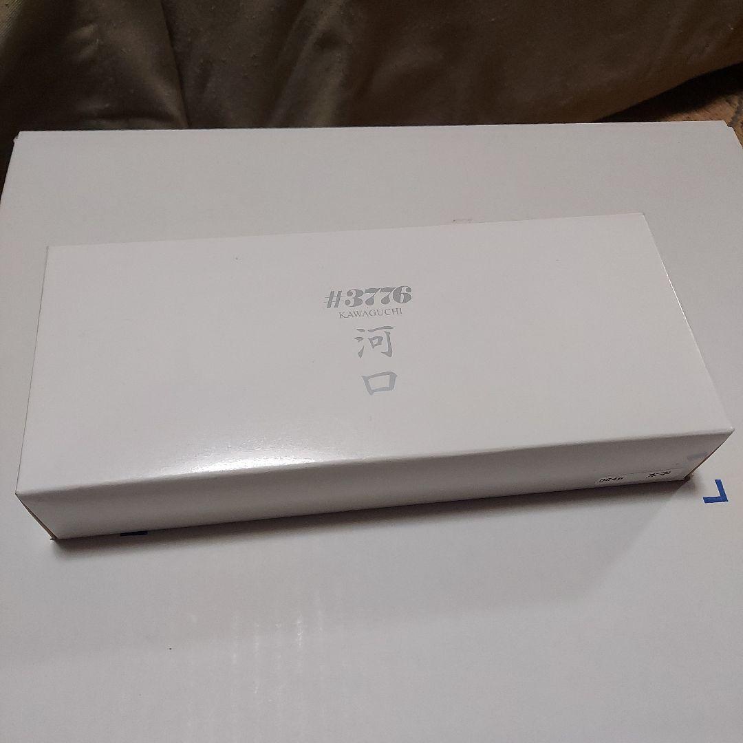 #3776 Century 河口 万年筆 太字