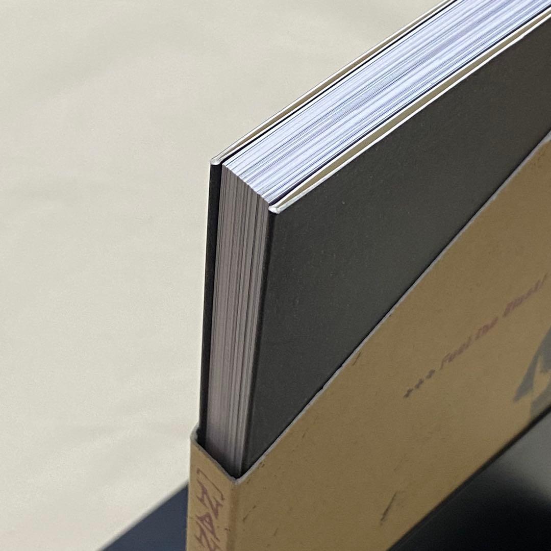 【美品】NANA 1st イラスト集 初回限定 ナナ