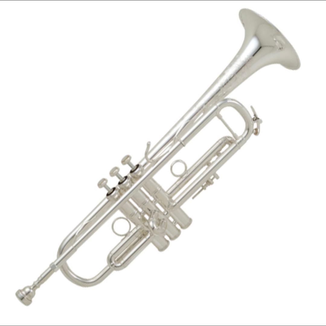 【極上品】V.Bach B♭トランペット LR190S 43B