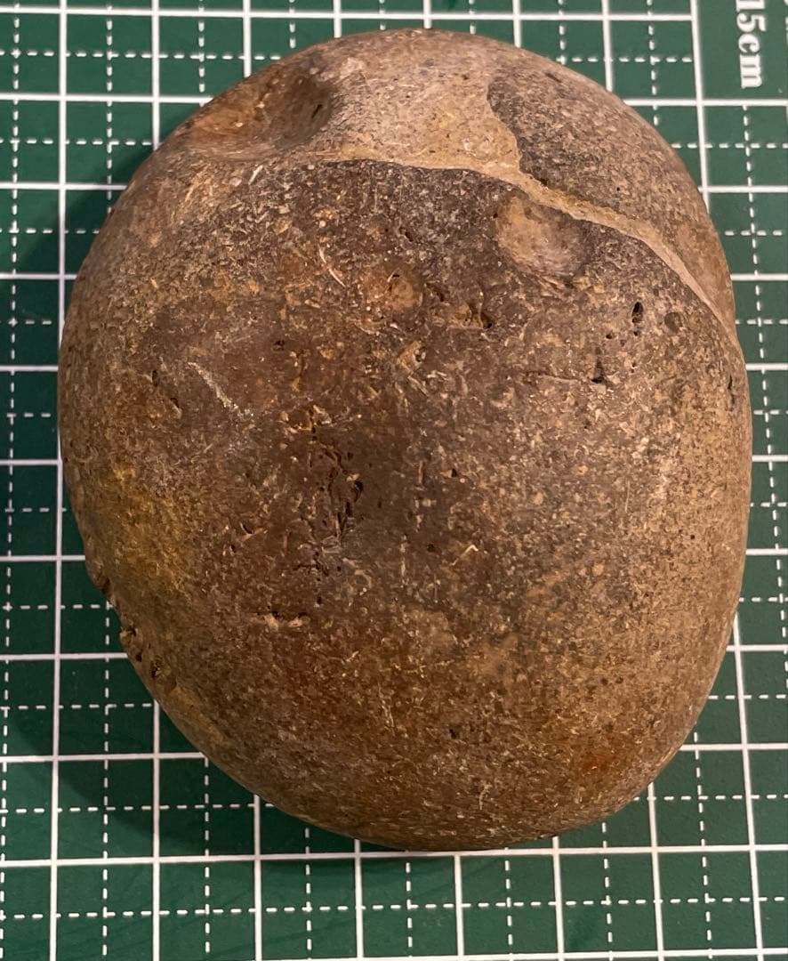 大型アンモナイト 化石　パワーストーン