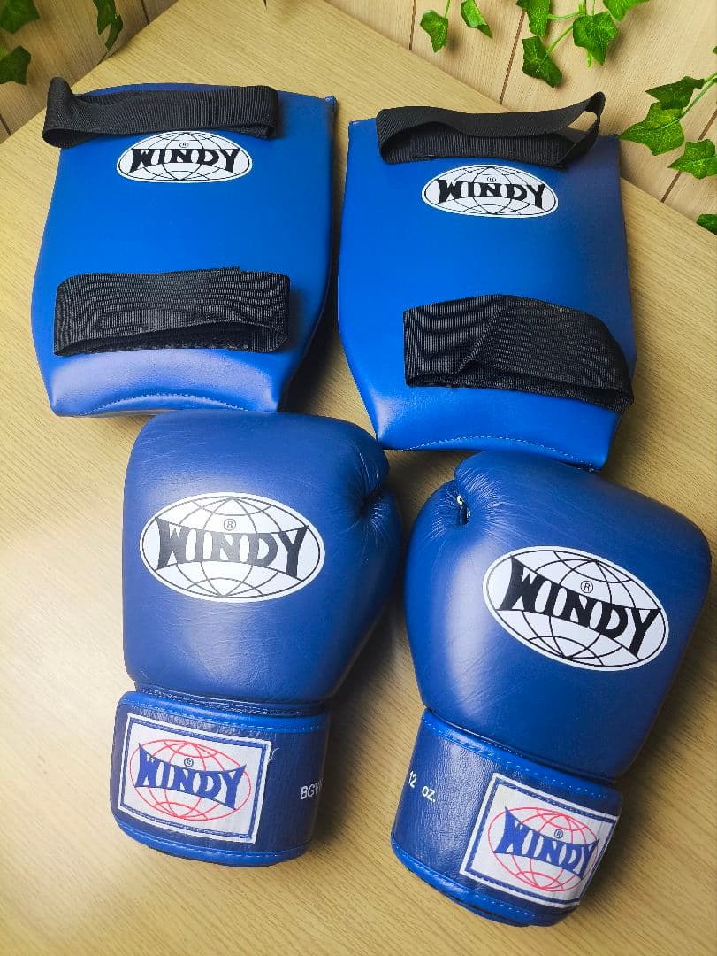 WINDY ウィンディ ボクシンググローブ12oz レガースM 青