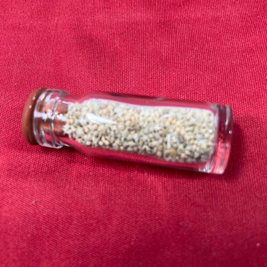 ネパール産のアンモナイト