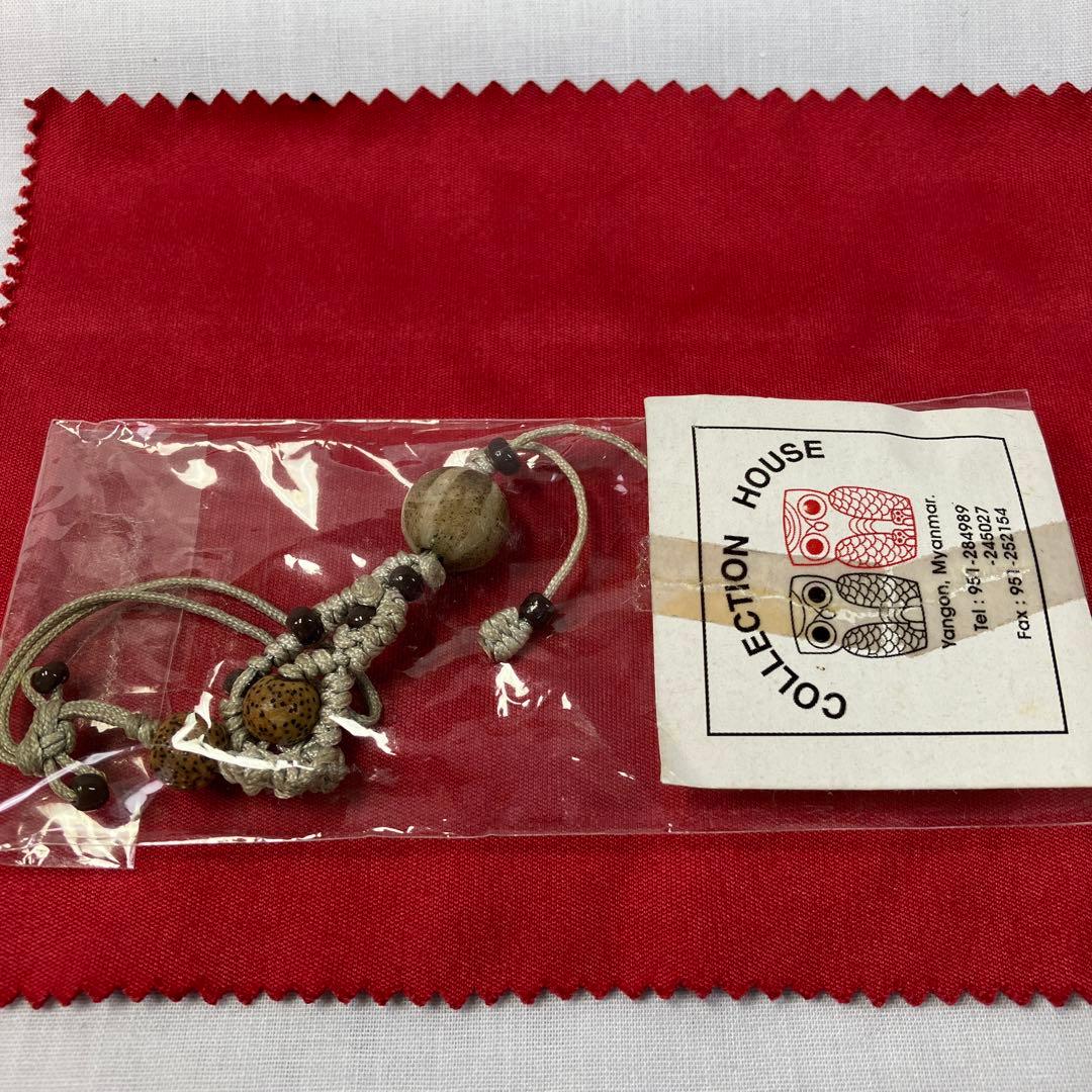 ネパール産のアンモナイト