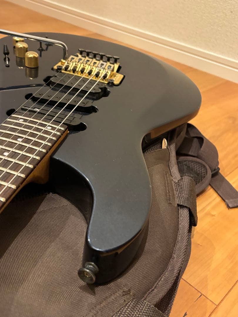 s*n様 FERNANDES APG-85S／フェルナンデス／サスティナー／エレ