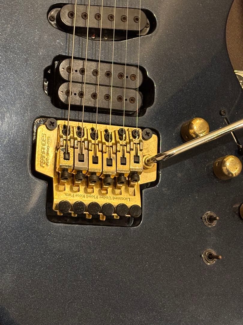 s*n様 FERNANDES APG-85S／フェルナンデス／サスティナー／エレ