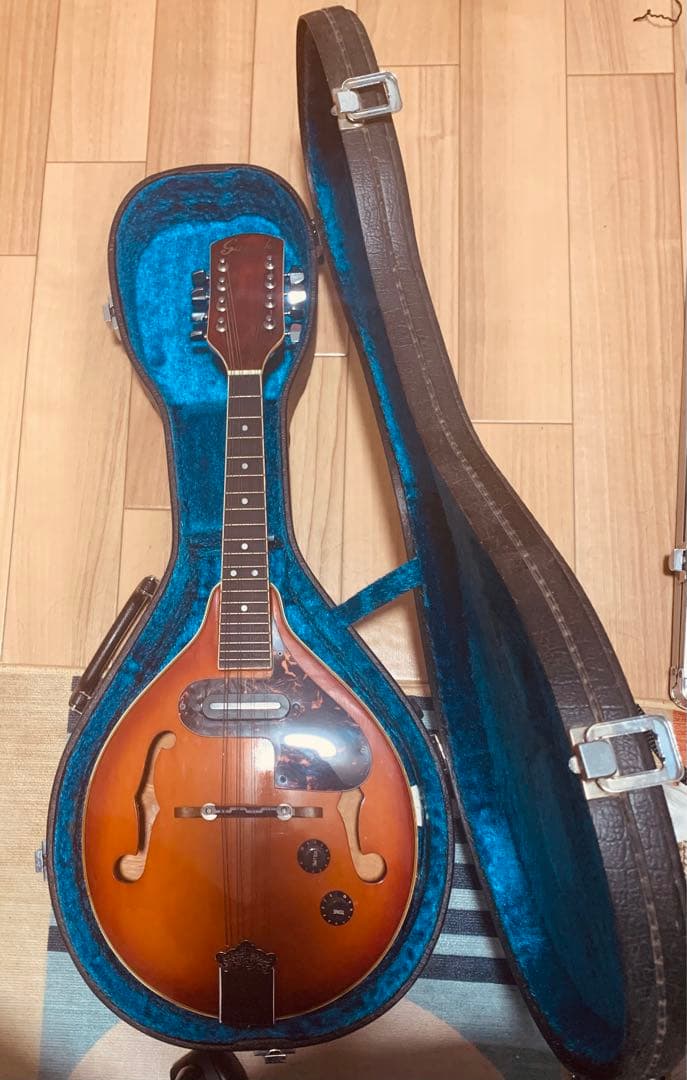 Samick エレキマンドリン 専用ハードケース付き