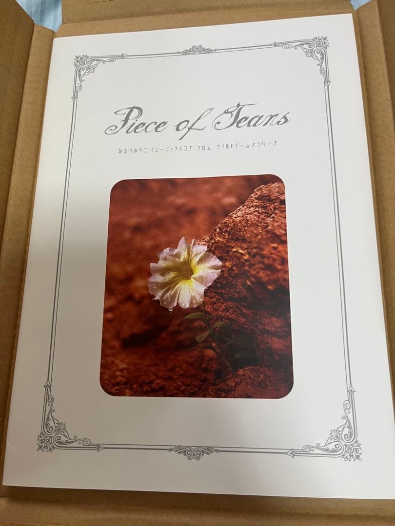 ⭐︎なるけみちこ ミュージックスコア ワイルドアームズPiece of Tears