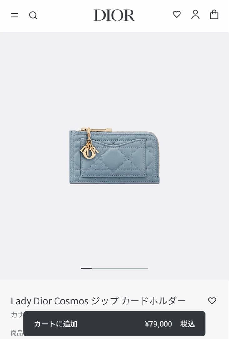 Dior カードジップホルダー