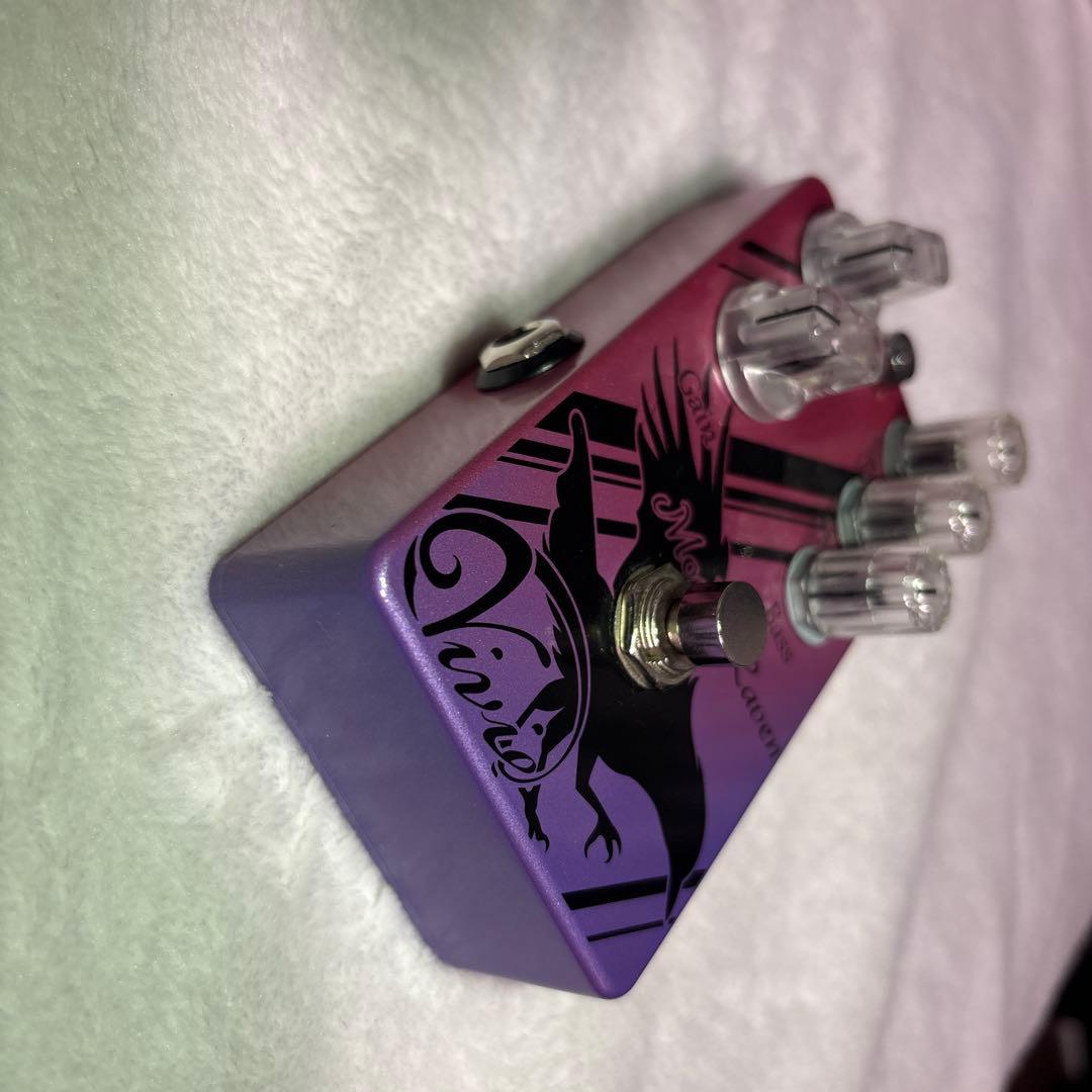 ギター vivie modern raven