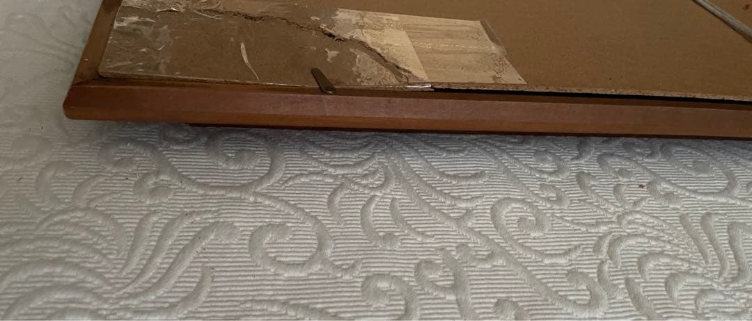 Claude Monet 睡蓮:61×68.5cm ／睡蓮クリーニングクロス付