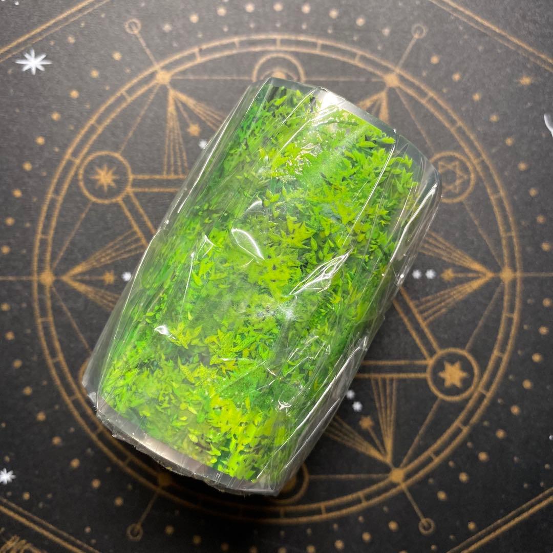 【8521】海外　マステ　5m巻売り　PETマスキングテープ