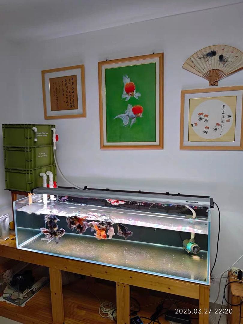 2種以上高性能濾過材2段付き　池水槽用万能ろ過フィルター　濾過槽外部式濾過器装置