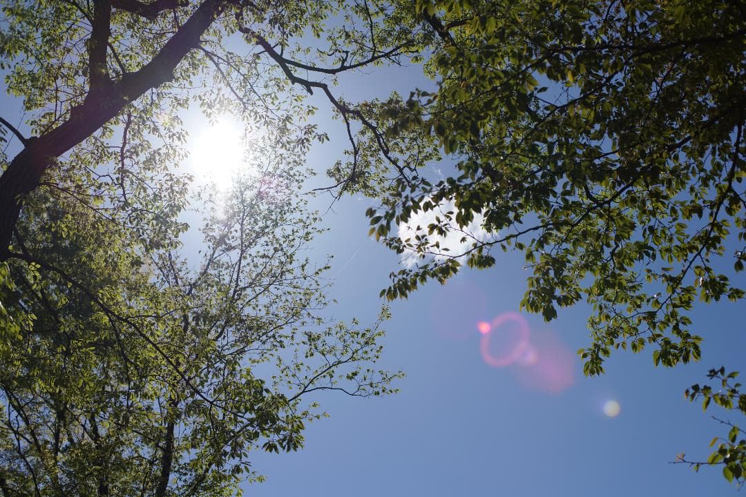 Nikon New nikkor 50mm f1.4 ai改