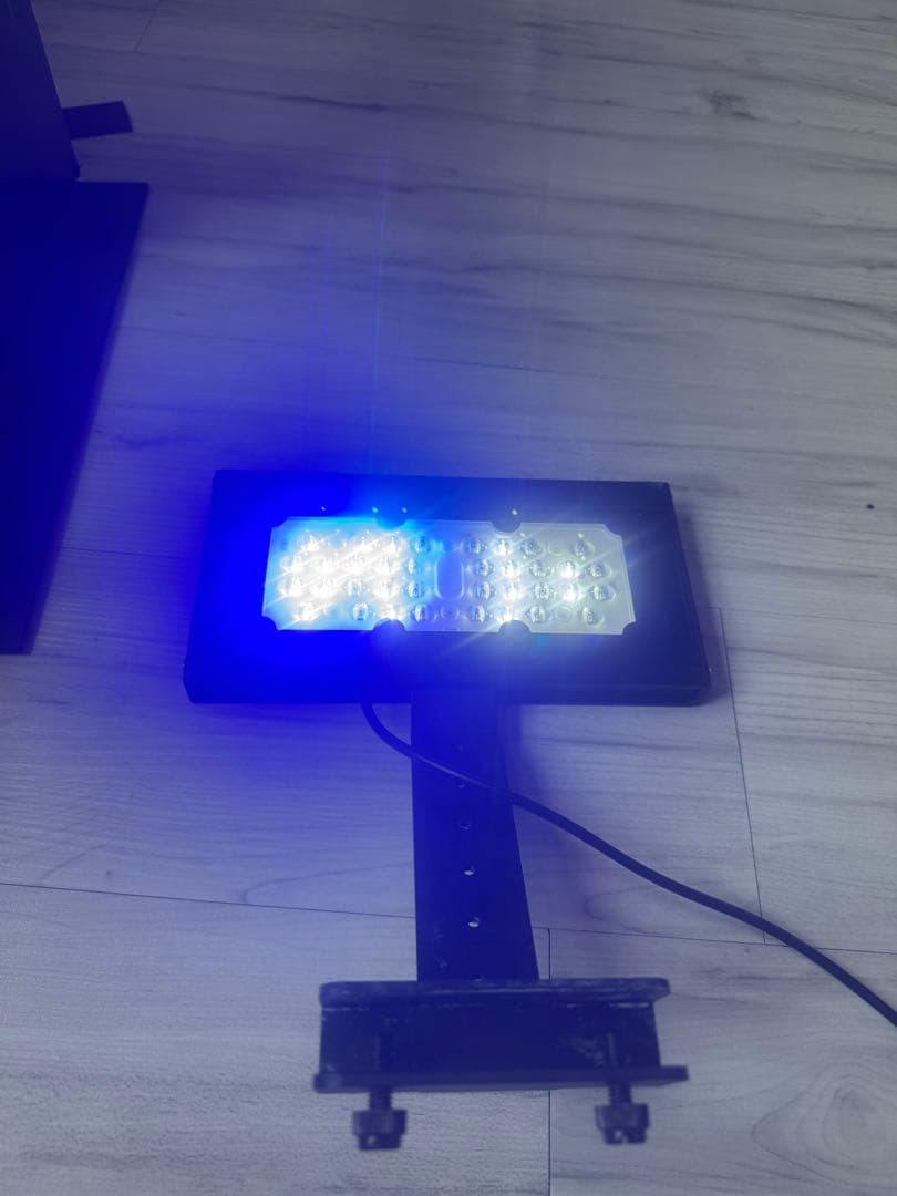 やっちゃん　Shell 水槽