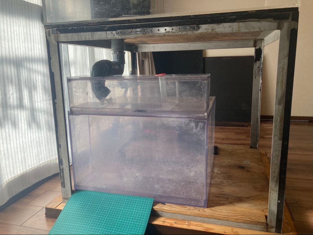 アクリル 大型 水槽 水槽セット 900×900×500 海水魚 珊瑚 飼育