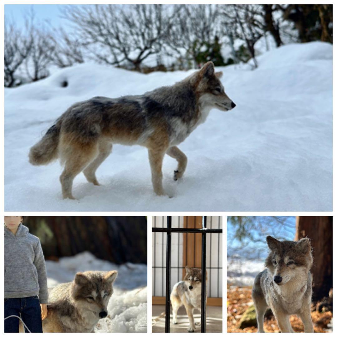 【羊毛フェルト オオカミ 狼 】 ドールハウス 1/6 置物