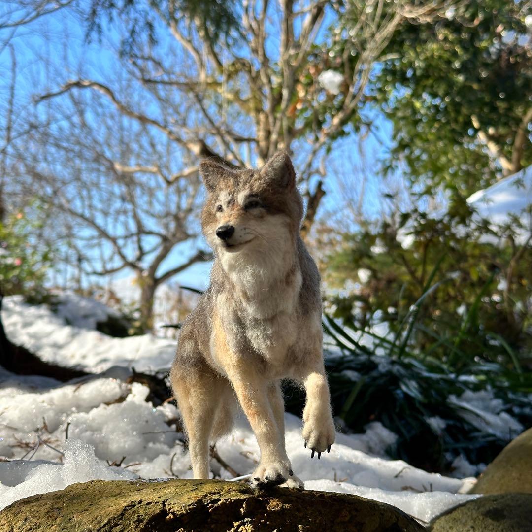 【羊毛フェルト オオカミ 狼 】 ドールハウス 1/6 置物