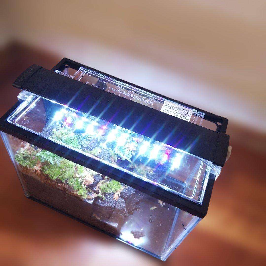 【受注生産】滝の流れるアクアテラリウム　イモリウム　苔　水槽　苔テラリウム