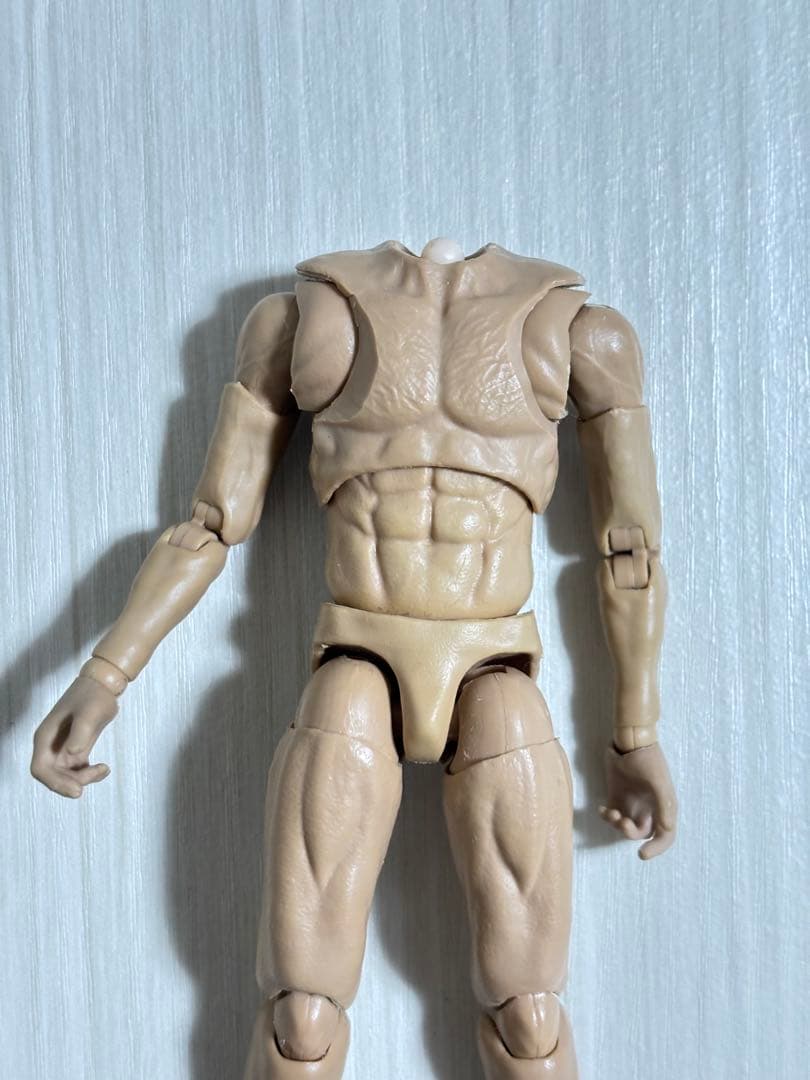 可動域 カスタム フィギュア 素体