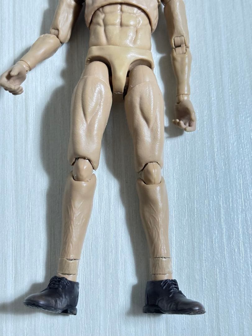 可動域 カスタム フィギュア 素体