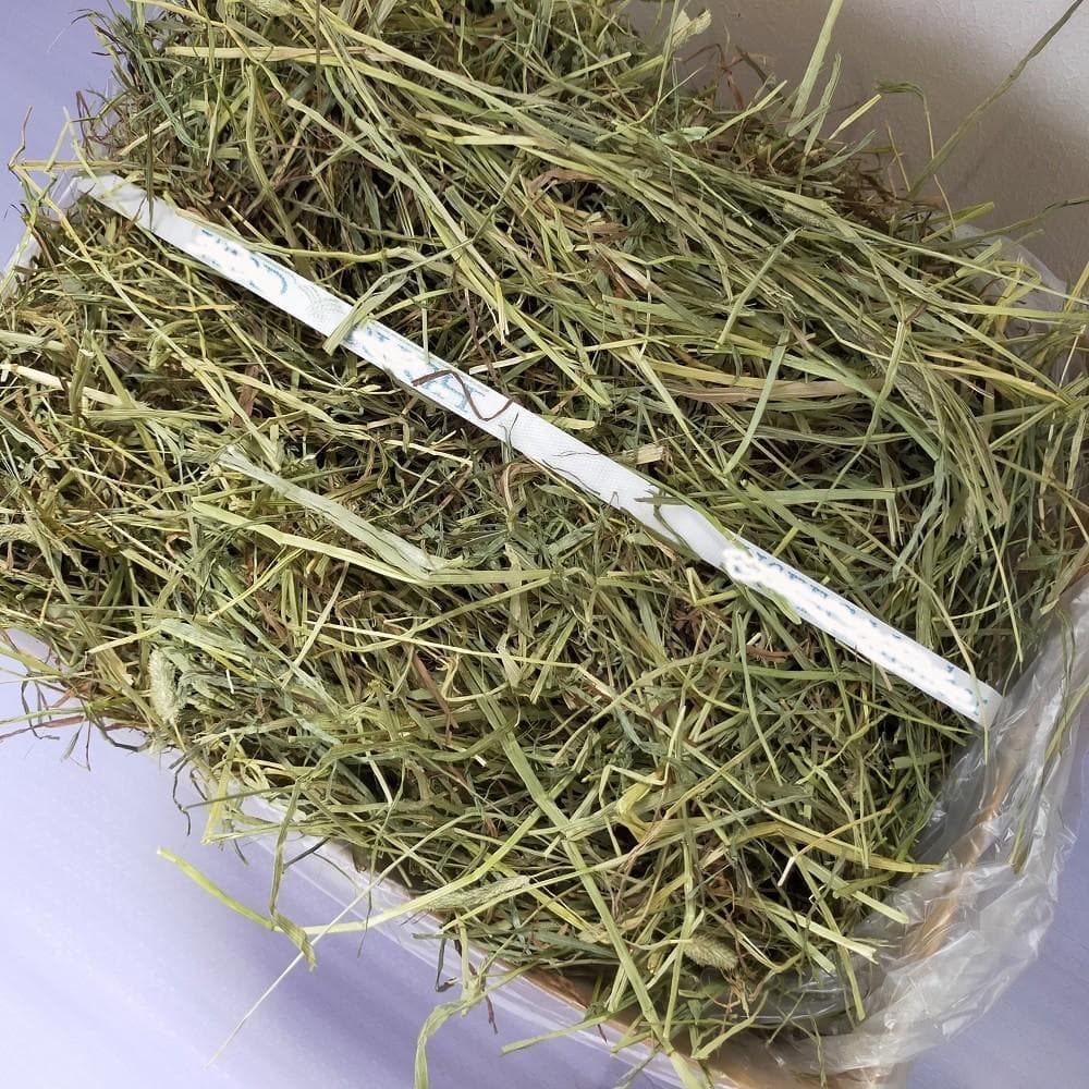 【12/30まで】US産 チモシー 40kg ２番刈 ソフトSプレミアム