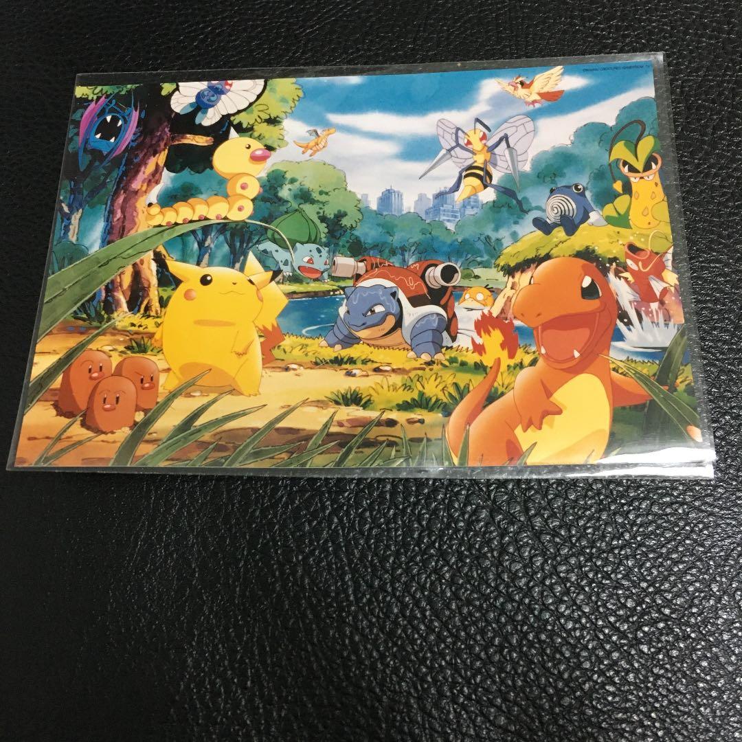 ポケモン　写真