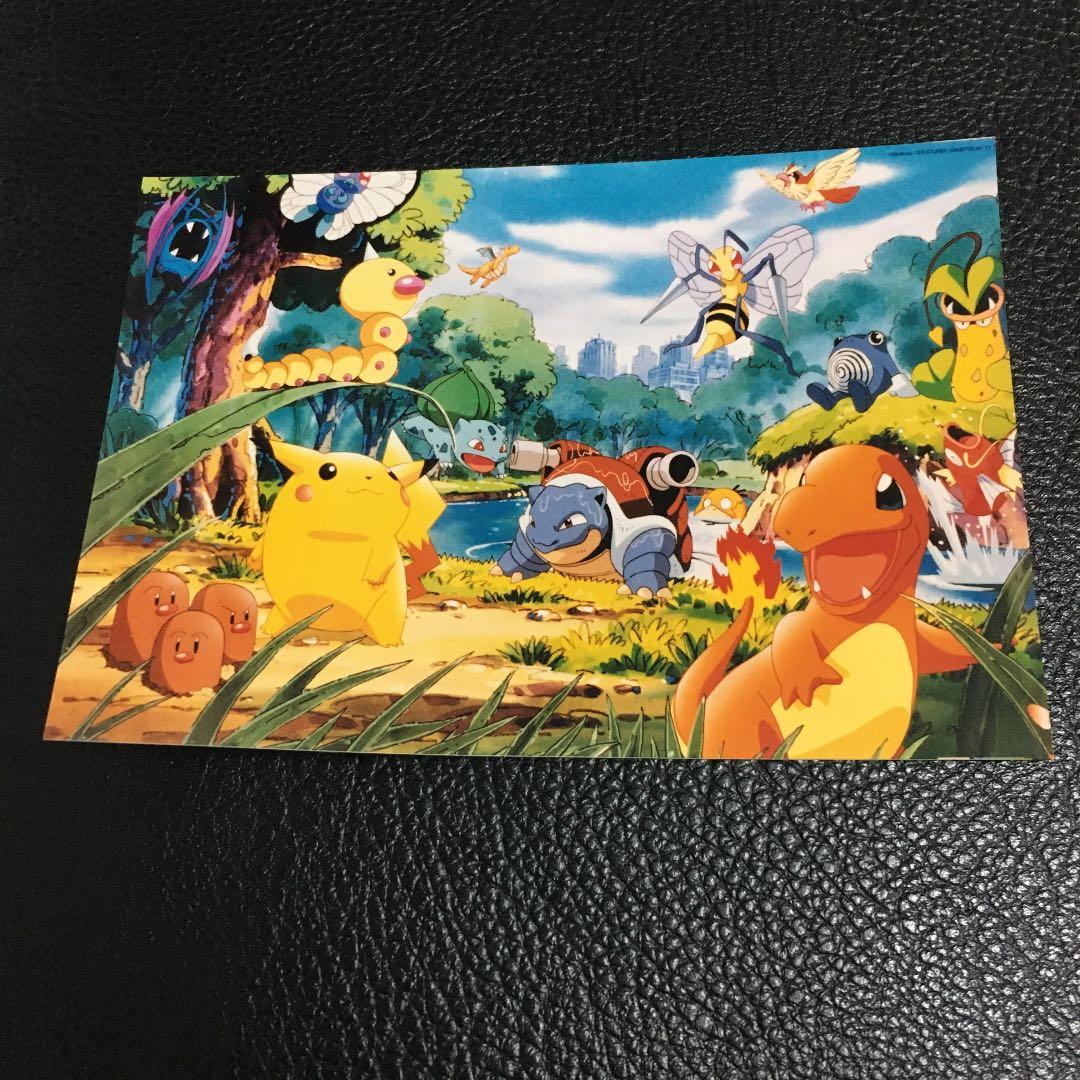 ポケモン　写真