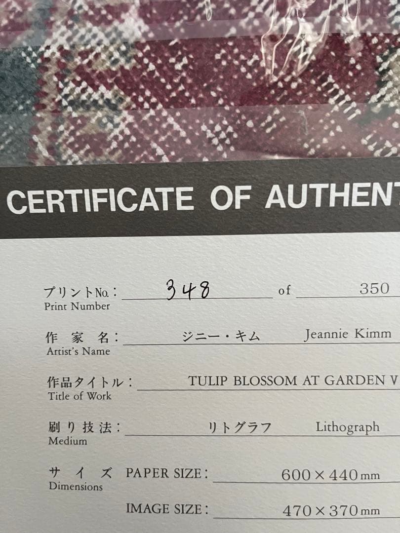 大きめ　リトグラフ　新品額入　46✖️63 ジニーキム　サイン　ED 証明書あり