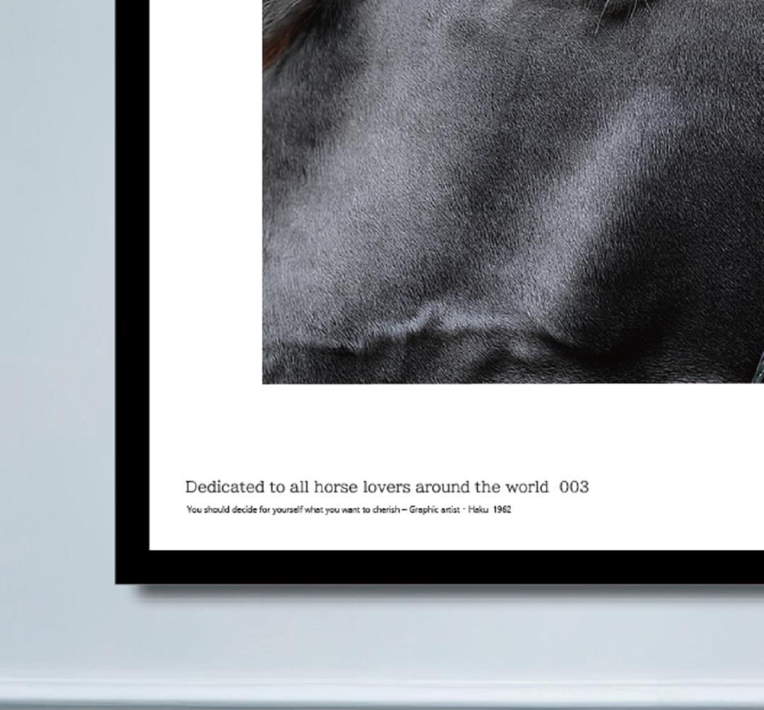 馬・No.003／「HAKU 」アートポスター　400×500