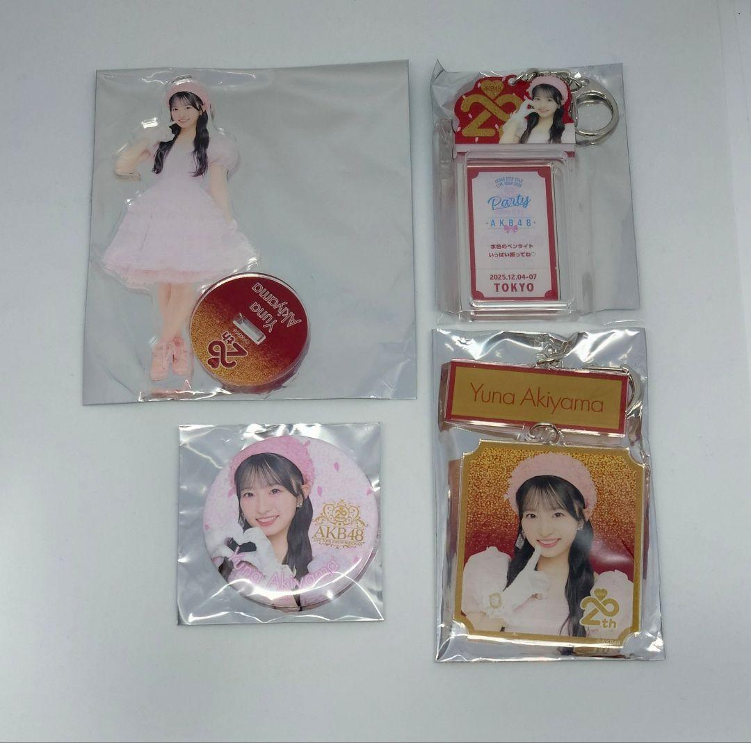 【Y】 AKB48 武道館コンサート グッズセット