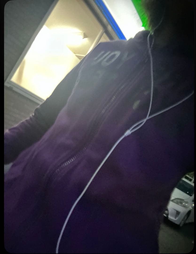 ジップパーカー フーディ fuckthisindustry punkandyo