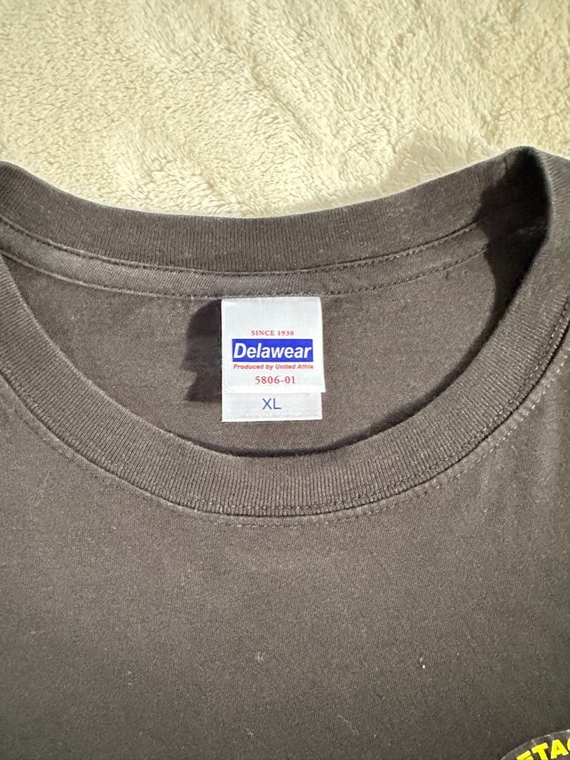 激レア RQ-4Bが飛行し機密扱いの特命ミッション時に機内に搭載されたフラッグ