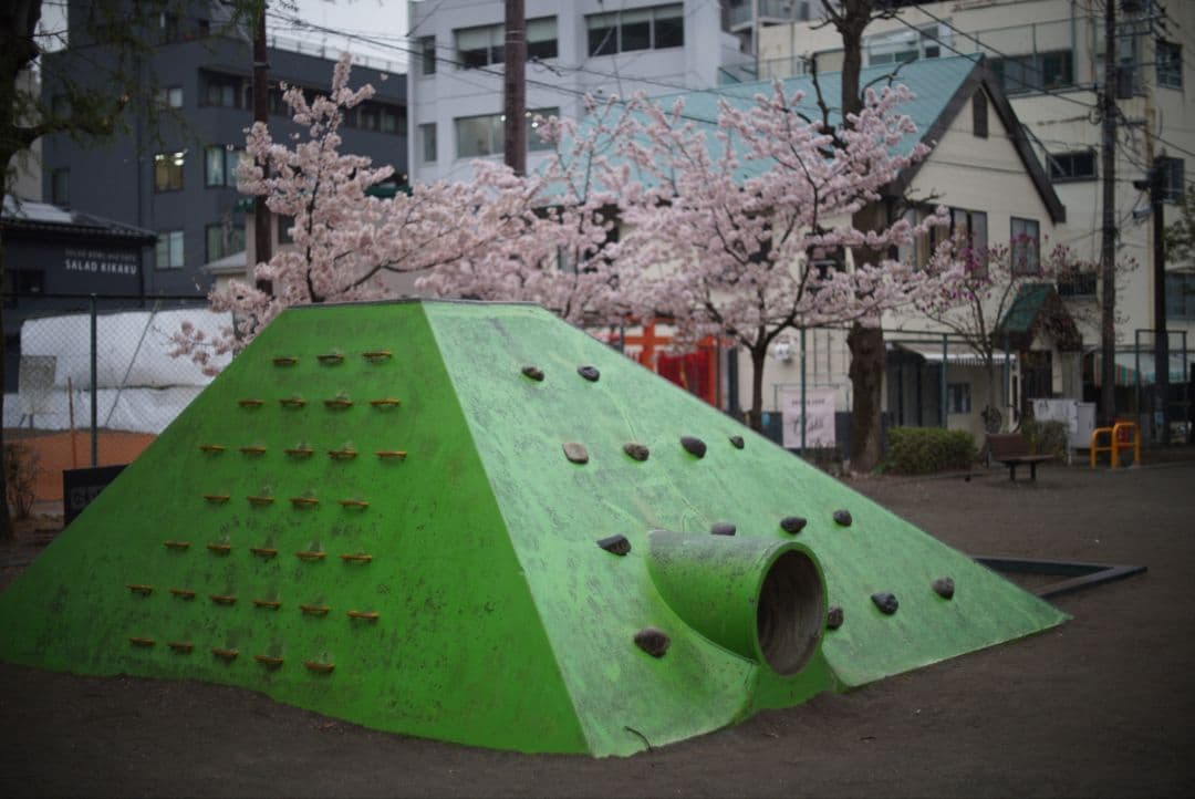 【良品】Nikon NIKKOR-S Auto 50mm f1.4 分解清掃済み