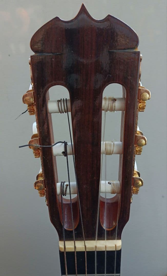 ギター Ryouji Matsuoka M30A