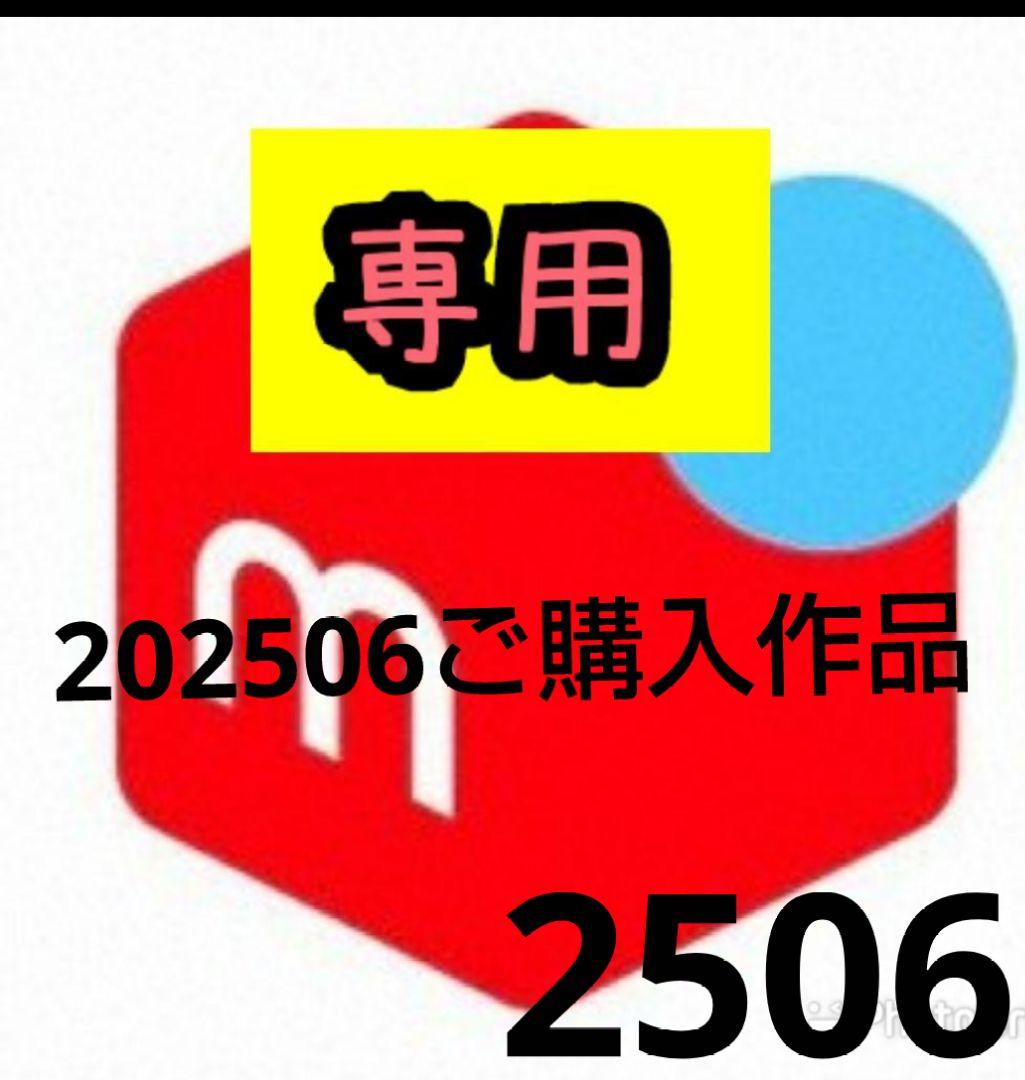 #ミーカ専用出品202506ご購入作品