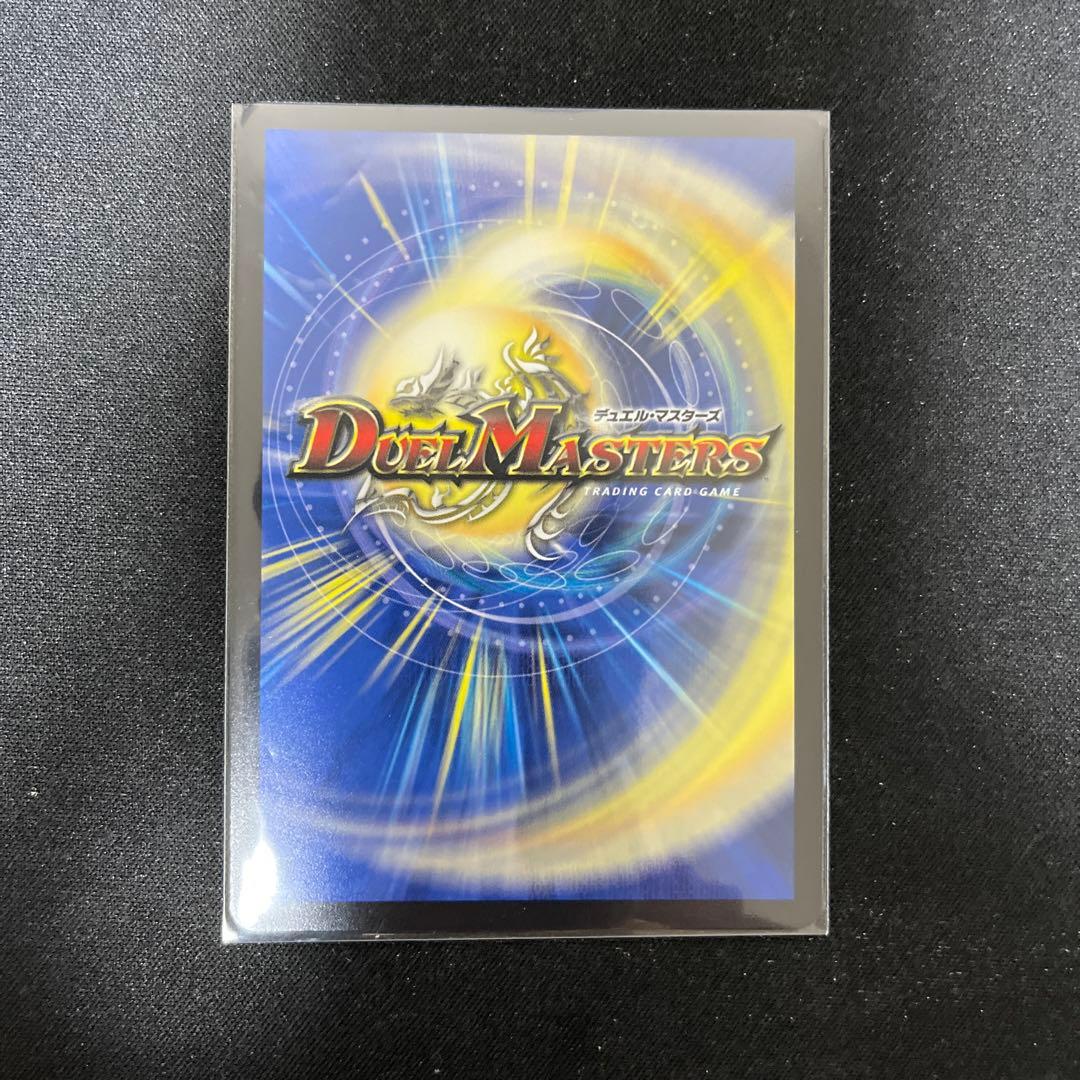 双龍覇王　モルトversus シク