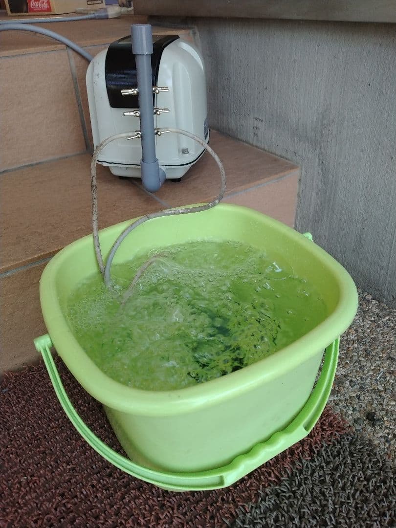 【安永（AP-60F）60L】743 ダイアフラム　エアポンプ　ブロワー　浄化槽