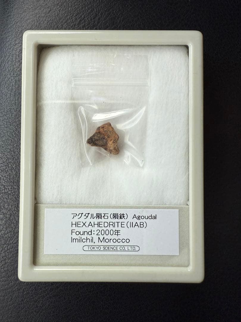 隕石　セット　標本　夏休み　自由研究